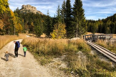 Salzwelten Altaussee Wanderweg Via Salis Forststraße  | © Harald Pernkopf Salzwelten 