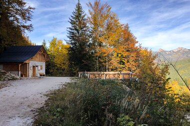 Salzwelten Altaussee Brennerberg Wanderweg Via Salis Herbststimmung  | © Harald Pernkopf Salzwelten