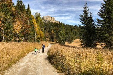 Salzwelten Altaussee Wanderweg Via Salis Forststraße  | © Harald Pernkopf Salzwelten