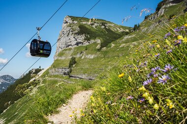 Loser Panoramabahn im Sommer eine Gondel umliegende Landschaft  | © Klaus Kumböck