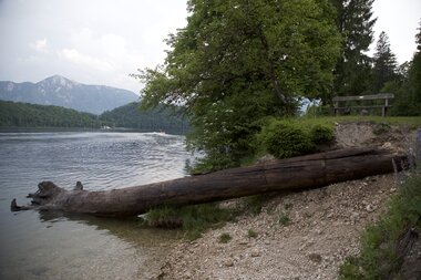 Salzwelten Altaussee Bergung Tanne Altausseer See  | © ÖBf Archiv Thomas Kranabitl 